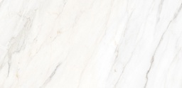 [R15.302] PARADISE - 30x62 - 1,66 M2 - 1º - TENDENZA